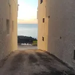 Estudio Calima Arico