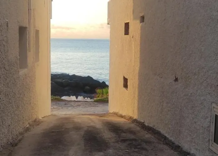 Estudio Calima Arico